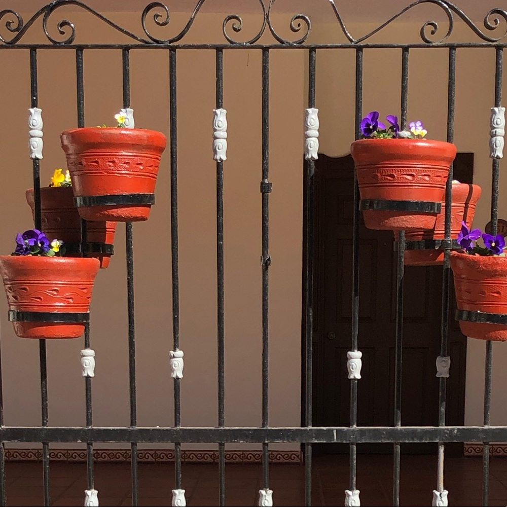 Meet your Posher, Diana